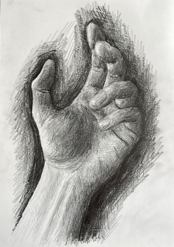 Study of the hand - Wilco van Iperen (2022)